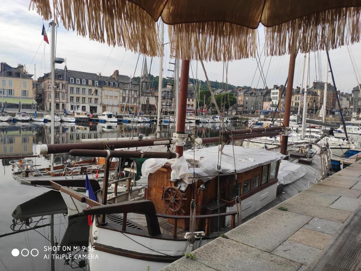 Proche Honfleur Gite Avec Piscine Équemauville Dış mekan fotoğraf
